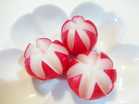 お弁当の彩り&おつまみに♪ラディッシュの飾り切り☆